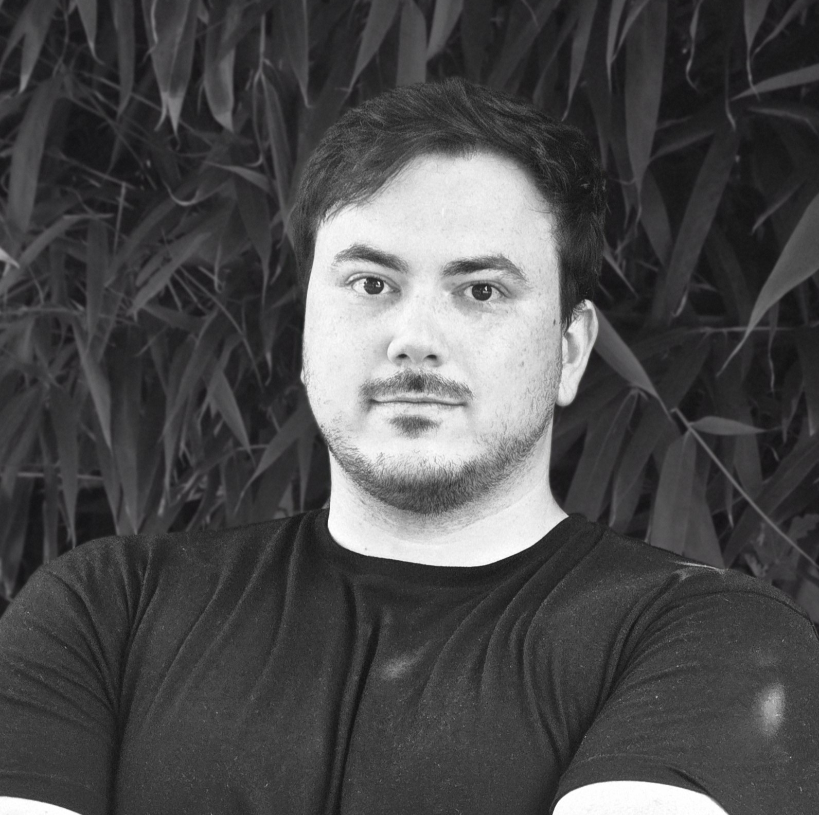 Dominik Šegić